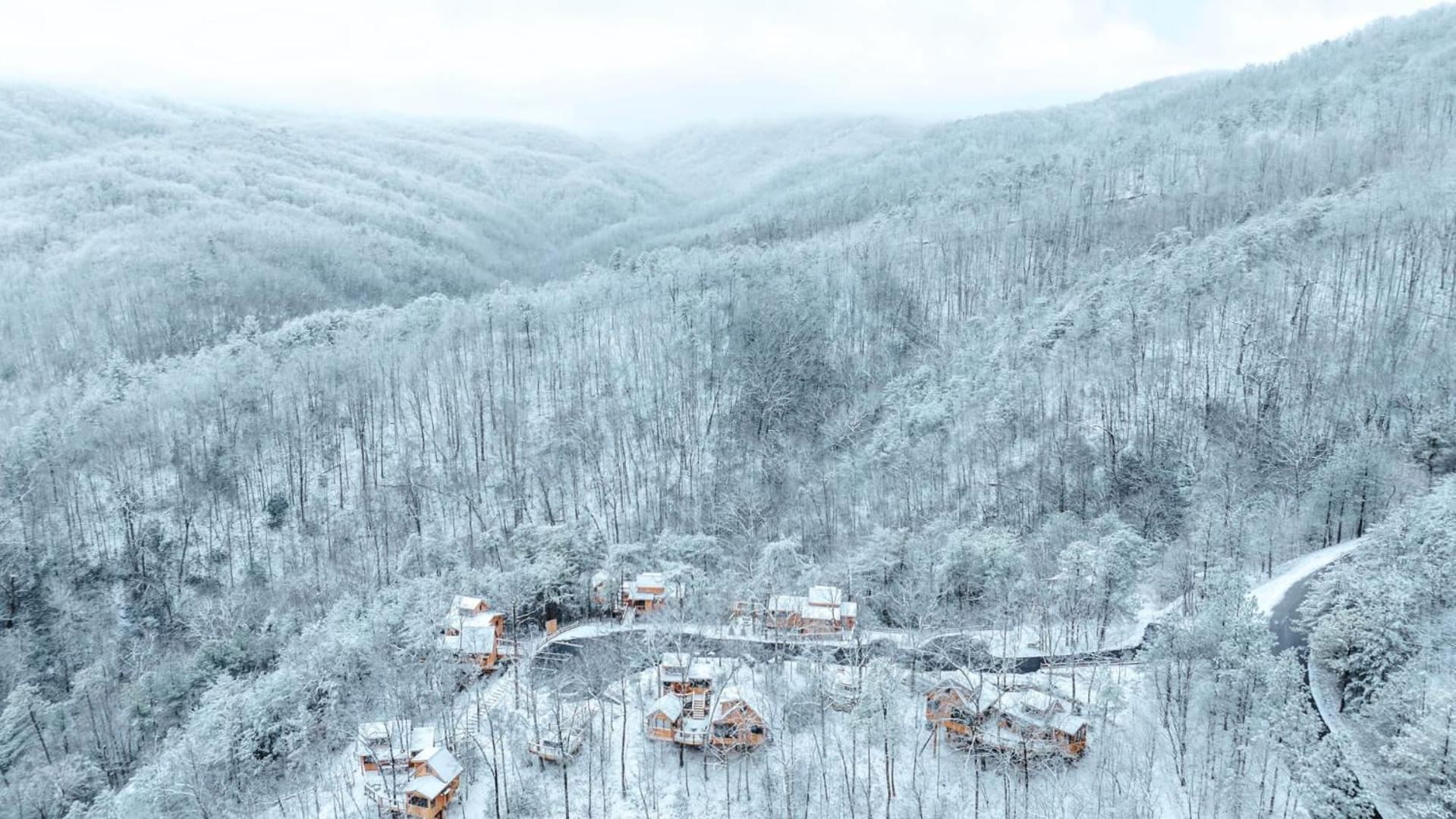 The Blackjack Oak In Treehouse Grove At Norton Creek Gatlinburg Ngoại thất bức ảnh